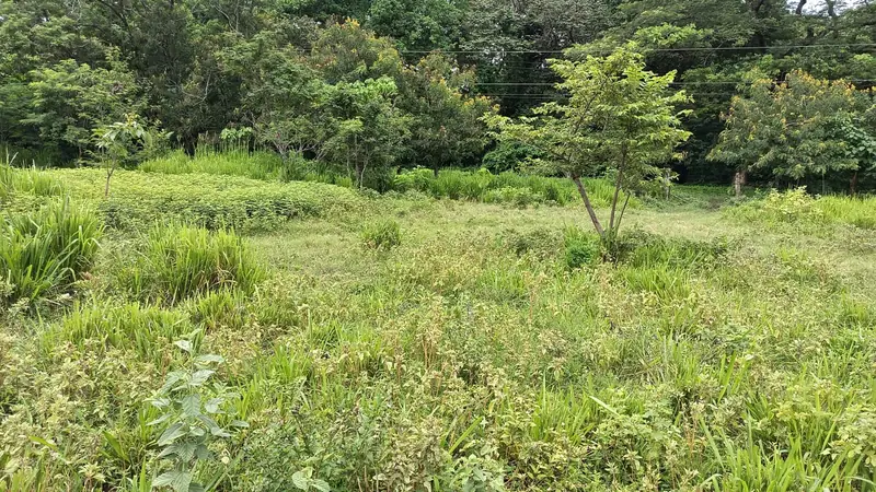Lote 20 — Foto 1 de 2