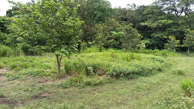 Lote 20 — Foto 2 de 2