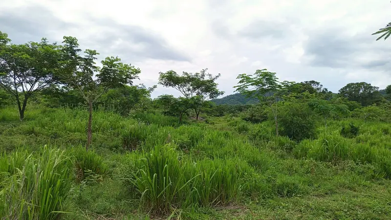 Lote 33 — Foto 3 de 3