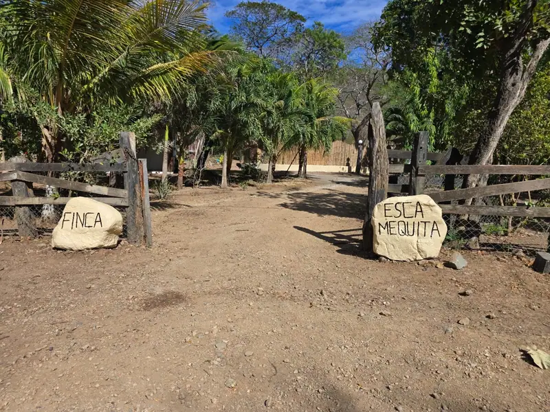 Entrada de la finca con las dos piedras redondas