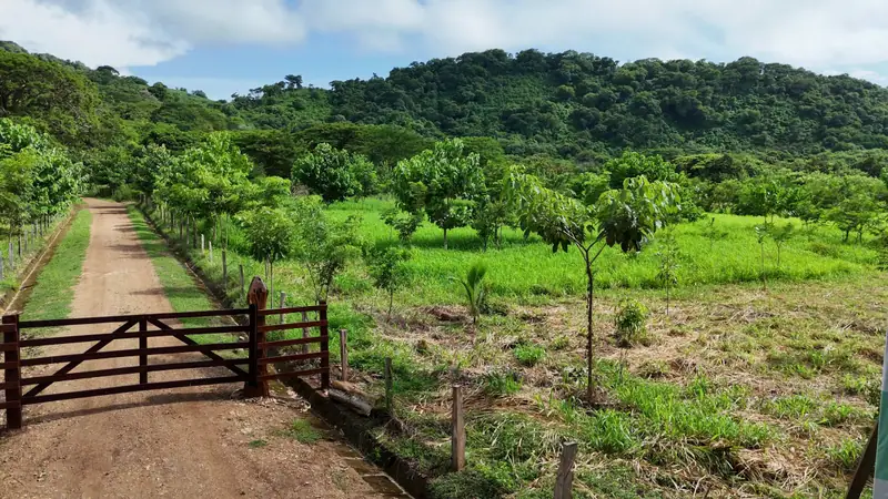 El portón de madera a la entrada de Las Planadas