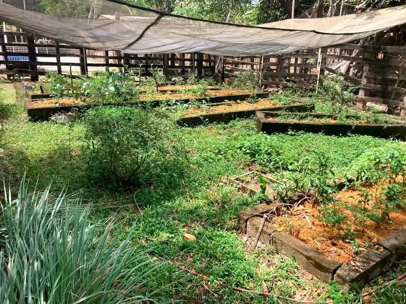 La huerta de la finca