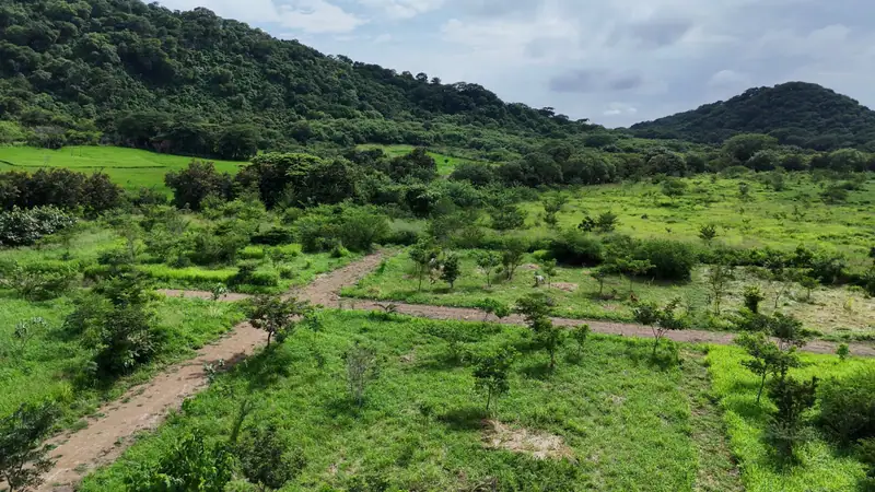 Lotes verdes y los cerros de Escamequita