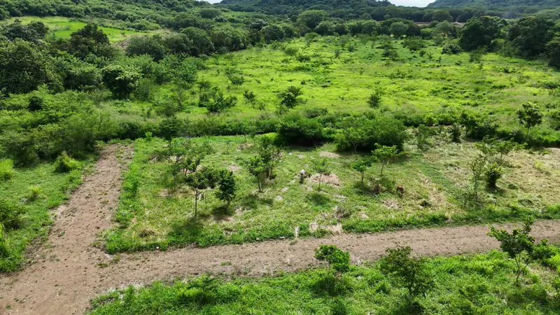 Un lote bordeado por un camino, visto desde arriba
