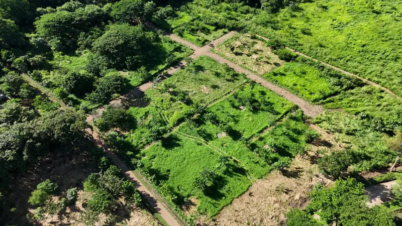 Lotes de Las Planadas vistos desde arriba, separados por caminos