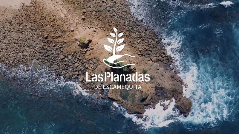 Las Planadas de Escamequita logo over a view of the coast