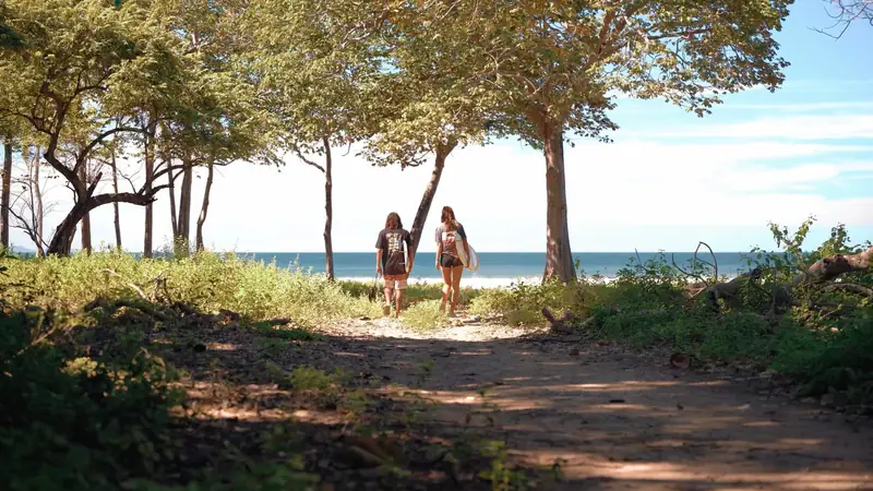 Two surfers walking down a tree-lined path to the ocean