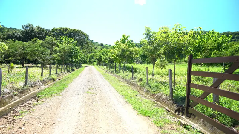 The fenced access road to the lots