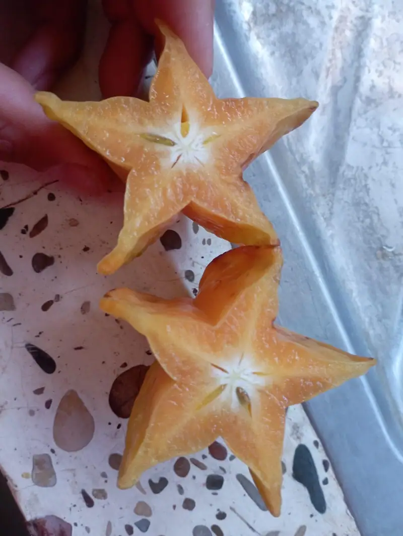 Carambola de la finca