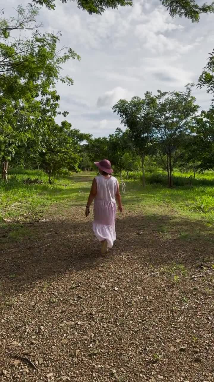 A walk through Las Planadas